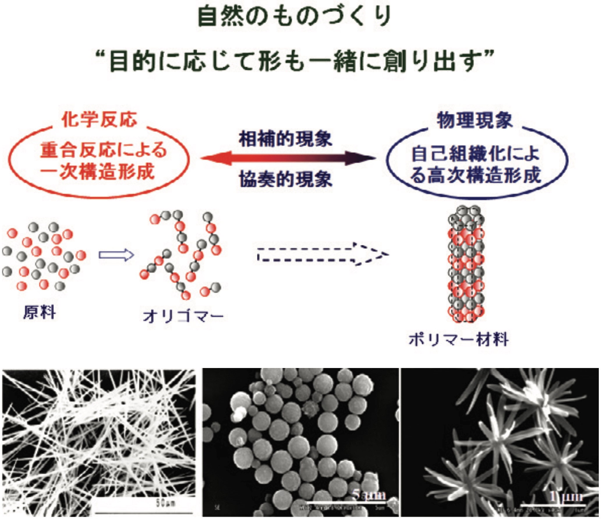 高分子材料